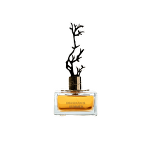 Aurora Deciduous Summer Eau De Parfum For Women 100ml
