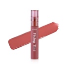 Fixing Tint - 11 Colors - #12 Salmon Brick