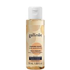 Gallinee Microbiome Skincare Prebiotics & Postbiotics Soothing Lotion For Face 50ml