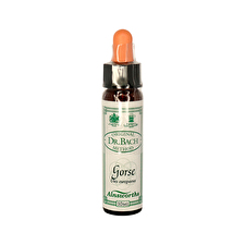 Ainsworths Original Dr. Bach Method Flower Essence Gorse 10ml