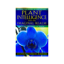 Plant Intelligence And The Imaginal Realm - Into The Dreaming Of Earth By Stephen Harrod Buhner