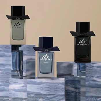 ミスターバーバリー EDP SP 100ml | Cosmetics Now 日本