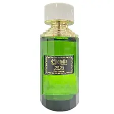Efolia 2020 Man Parfum 80ml