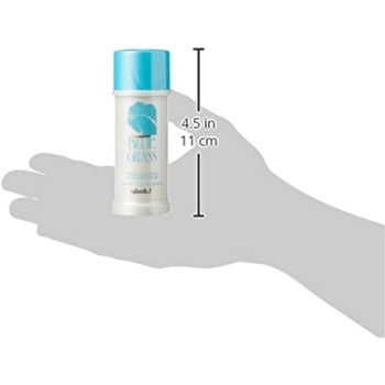 Oz Bluegrass Deodorant By Elizabeth Arden Elizabeth Arden Blue