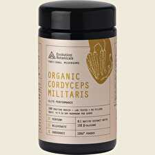 Organic Cordyceps Militaris Elite Performance 100g