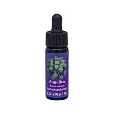 Fes Organic Quintessentials Flower Essence Angelica 7.5ml