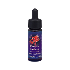 Fes Organic Quintessentials Flower Essence Canyon Dudleya 7.5ml