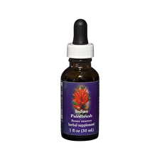 Fes Organic Quintessentials Flower Essence Dogwood 30ml