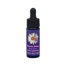 Fes Organic Quintessentials Flower Essence Shasta Daisy 7.5ml