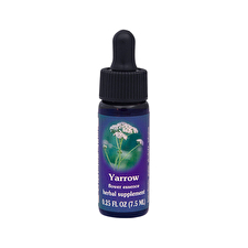 Fes Organic Quintessentials Flower Essence Yarrow 7.5ml