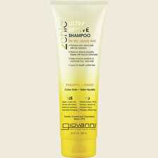 Shampoo 2chic Ultra Revive Dry, Unruly Hair 250ml