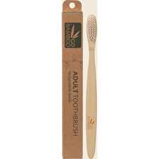 Toothbrush Adult x12