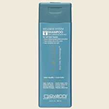 Shampoo Wellness System 250ml