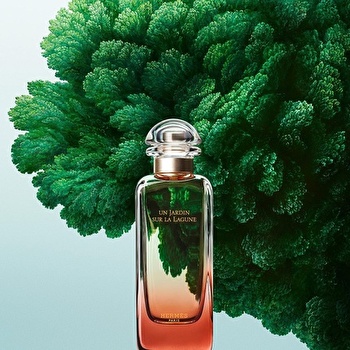 エルメス ラグーナの庭 EDT ナチュラルスプレー 100ml | Cosmetics Now