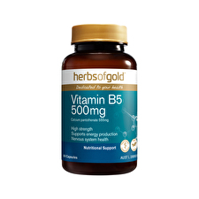 Herbs Of Gold Vitamin B5 500mg 60c