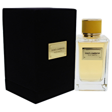 Dolce and Gabbana Velvet Ginestra By Dolce And Gabbana For Women 150ml/5oz