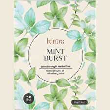 Herbal Tea Bags Mint Burst 25pk
