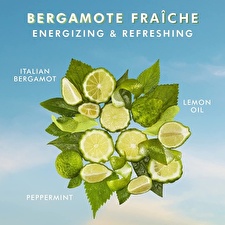 Moroccanoil Bergamote Fraiche Hand Cream 40ml