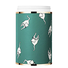 Miu Miu Les Eaux A La Mode Bas D'ecrin Bottom Case (green)