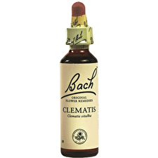Ainsworths Original Dr. Bach Method Flower Essence Clematis 10ml