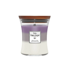 WoodWick Scented Medium Candle Trilogy Amethyst Sky 275 G
