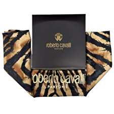 Roberto Cavalli Scarf / Foulard
