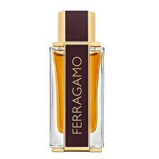 Salvatore Ferragamo Ferragamo Spicy Leather Eau De Parfum 100ml