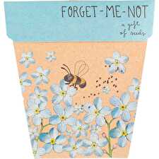 Gift of Seeds Forget Me Not