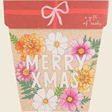 Gift of Seeds Christmas Blooms