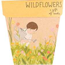 Gift of Seeds Wildflowers