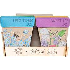 Gift of Seeds Counter Display Stock Not Included