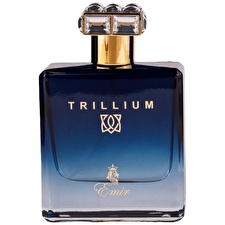 Emir Trillium Eau De Parfum For Men 100ml