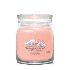 Yankee Candle Aromatic Candle Signature Glass Medium Watercolor Skies 368 G