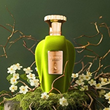 Emir Voux Zingy Eau De Parfum Unisex 100ml