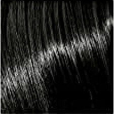 Kiss (quick Cover Gray Hair Touch Up Stick) 6 G - Shade: Black